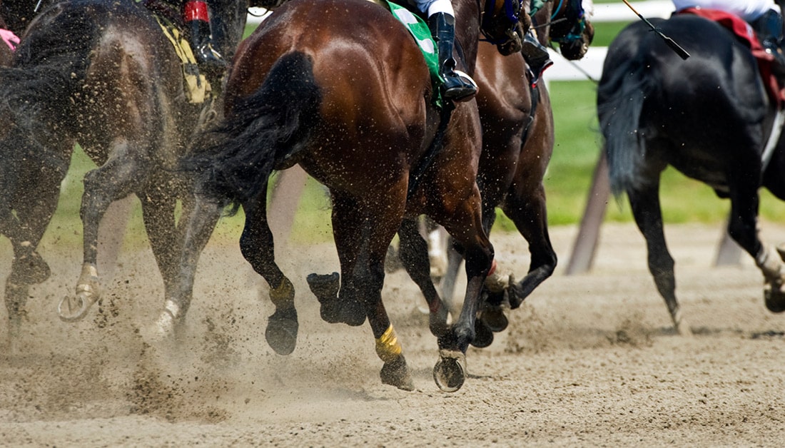 Prairie Meadows Simulcast Racing
